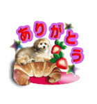 ぼく、コハク。（個別スタンプ：2）