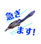 どうぶつ の きもち（個別スタンプ：4）