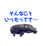どうぶつ の きもち（個別スタンプ：13）