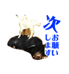 どうぶつ の きもち（個別スタンプ：14）