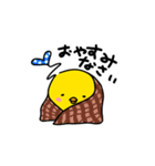 ぴより日和【日常2】（個別スタンプ：16）