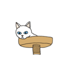 ジユウな猫たち（個別スタンプ：4）