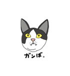 ジユウな猫たち（個別スタンプ：5）