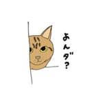 ジユウな猫たち（個別スタンプ：11）