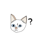 ジユウな猫たち（個別スタンプ：14）