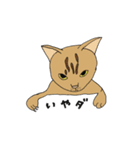 ジユウな猫たち（個別スタンプ：16）