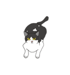 ジユウな猫たち（個別スタンプ：17）