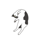 ジユウな猫たち（個別スタンプ：18）