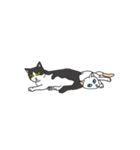 ジユウな猫たち（個別スタンプ：21）