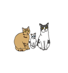 ジユウな猫たち（個別スタンプ：24）