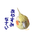 ペコ婆ちゃん(オカメインコ)2（個別スタンプ：2）