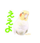ペコ婆ちゃん(オカメインコ)2（個別スタンプ：9）