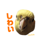 ペコ婆ちゃん(オカメインコ)2（個別スタンプ：24）