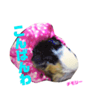 ペコ婆ちゃん(オカメインコ)2（個別スタンプ：26）