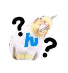 ペコ婆ちゃん(オカメインコ)2（個別スタンプ：34）