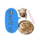 谷さん家の♡DREAM♡（個別スタンプ：2）