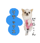 谷さん家の♡DREAM♡（個別スタンプ：4）