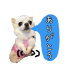 谷さん家の♡DREAM♡（個別スタンプ：5）