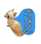 谷さん家の♡DREAM♡（個別スタンプ：7）
