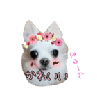 谷さん家の♡DREAM♡（個別スタンプ：9）