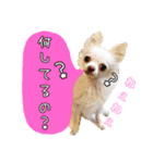 谷さん家の♡DREAM♡（個別スタンプ：10）