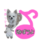 谷さん家の♡DREAM♡（個別スタンプ：11）