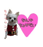 谷さん家の♡DREAM♡（個別スタンプ：12）