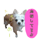 谷さん家の♡DREAM♡（個別スタンプ：13）