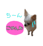 谷さん家の♡DREAM♡（個別スタンプ：14）