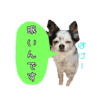 谷さん家の♡DREAM♡（個別スタンプ：17）