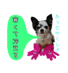 谷さん家の♡DREAM♡（個別スタンプ：21）