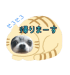 谷さん家の♡DREAM♡（個別スタンプ：25）