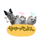 谷さん家の♡DREAM♡（個別スタンプ：30）
