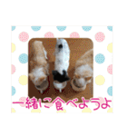 谷さん家の♡DREAM♡（個別スタンプ：32）