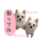 谷さん家の♡DREAM♡（個別スタンプ：33）