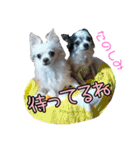 谷さん家の♡DREAM♡（個別スタンプ：34）