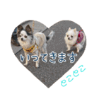 谷さん家の♡DREAM♡（個別スタンプ：35）