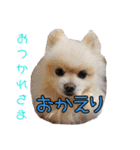 谷さん家の♡DREAM♡（個別スタンプ：37）