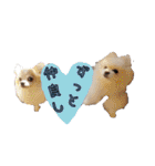 谷さん家の♡DREAM♡（個別スタンプ：39）