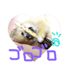 ポメラニアン♡で感情♡（個別スタンプ：23）