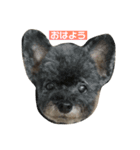 太田家スタンプ（個別スタンプ：1）
