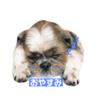 太田家スタンプ（個別スタンプ：2）