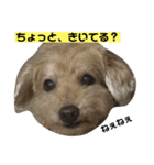 太田家スタンプ（個別スタンプ：6）