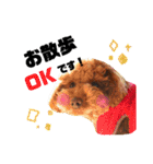 きよのさんちの こたろうくん（個別スタンプ：1）