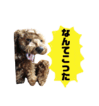 きよのさんちの こたろうくん（個別スタンプ：13）