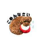 きよのさんちの こたろうくん（個別スタンプ：16）
