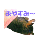 ちゃくてぃろ（個別スタンプ：3）