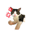 ちゃくてぃろ（個別スタンプ：4）