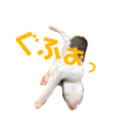 ちゃくてぃろ（個別スタンプ：11）
