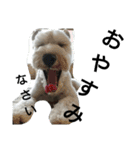 私の可愛い愛犬3（個別スタンプ：3）